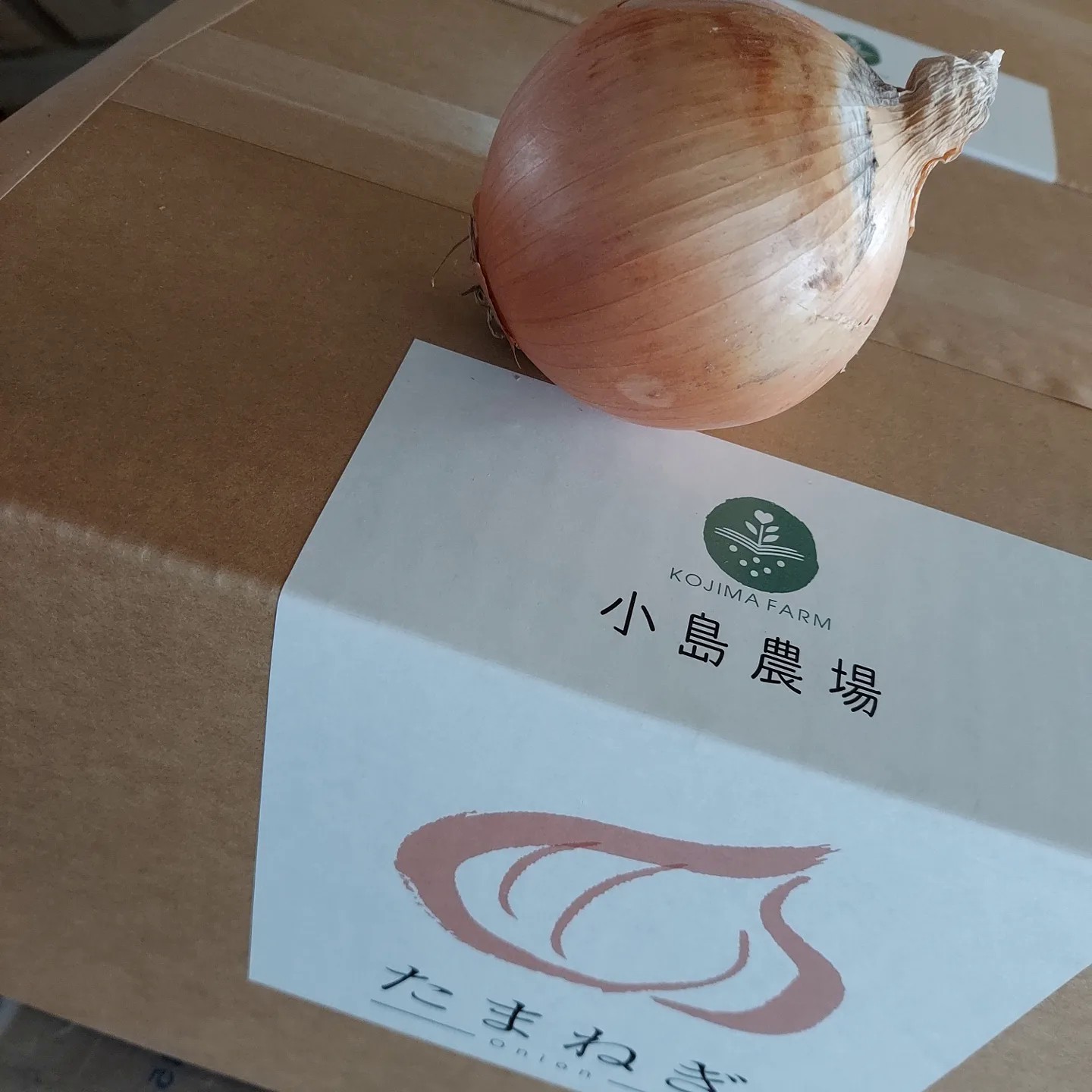 【2026年11月上旬以降発送】小島農場の玉ねぎ 美幌産たまねぎ 10kg～20kg 令和8年度産