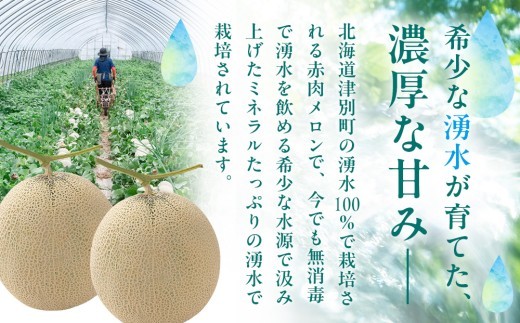 【R8年収穫分】【数量限定】さのさん家のメロン(L玉以上)1玉 湧き水栽培 さの農場 | 北海道津別町