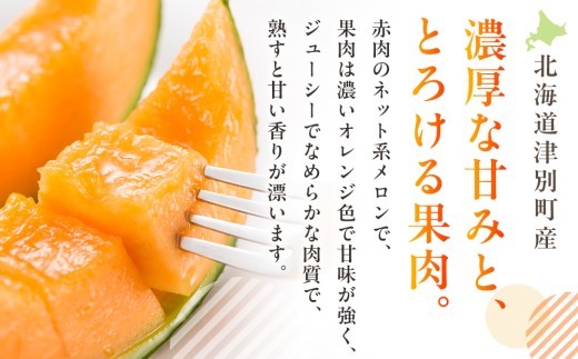 【R8年収穫分】【数量限定】さのさん家のメロン(L玉以上)1玉 湧き水栽培 さの農場 | 北海道津別町