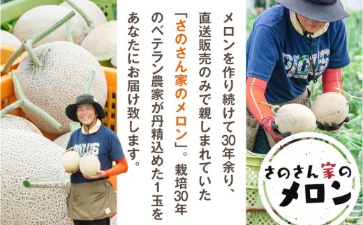 【R8年収穫分】【数量限定】さのさん家のメロン(L玉以上)1玉 湧き水栽培 さの農場 | 北海道津別町