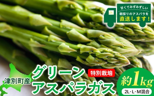 【先行受付】R8年産 特別栽培アスパラガス 約1kg 細川農園 | 北海道津別町