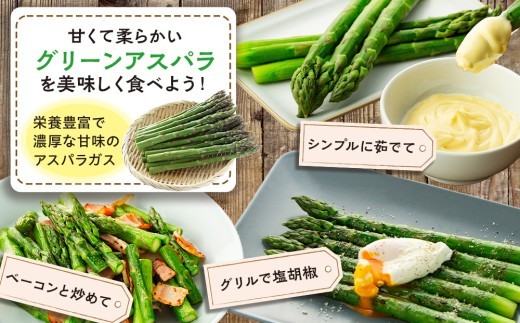 【先行受付】R8年産 特別栽培アスパラガス 約1kg 細川農園 | 北海道津別町