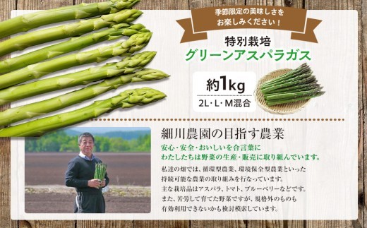 【先行受付】R8年産 特別栽培アスパラガス 約1kg 細川農園 | 北海道津別町