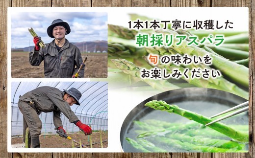 【先行受付】R8年産 特別栽培アスパラガス 約1kg 細川農園 | 北海道津別町