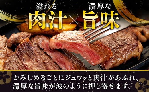 流氷牛ステーキ肉 750g （250g×3 サーロイン）| 北海道 津別町