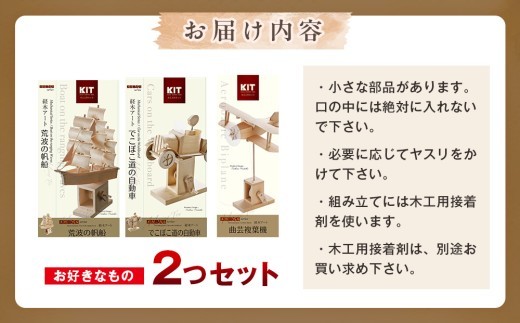 工作キット からくりメカニカルシリーズ お好きなもの２つセット 加賀谷木材 | 北海道津別町
