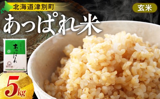 【令和8年産・早期予約受付】北海道産 津別町あっぱれ米（玄米） 5kg ｜北海道津別町