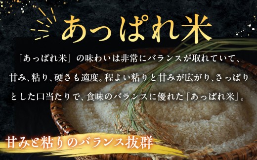 【令和8年産・早期予約受付】北海道産 津別町あっぱれ米（玄米） 5kg ｜北海道津別町