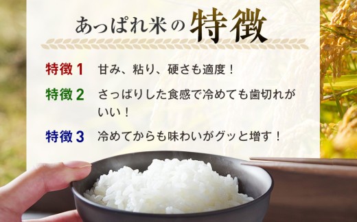 【令和8年産・早期予約受付】北海道産 津別町あっぱれ米（玄米） 5kg ｜北海道津別町