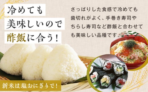 【令和8年産・早期予約受付】北海道産 津別町あっぱれ米（玄米） 5kg ｜北海道津別町