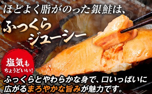 塩銀鮭(甘口) 900g(10~12切れ) | 北海道津別町