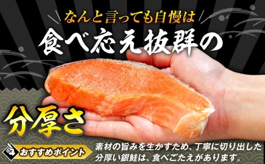 塩銀鮭(甘口) 900g(10~12切れ) | 北海道津別町