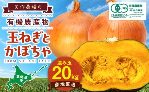 【先行受付】R8年産 有機栽培玉ねぎ・かぼちゃセット 合計20kg | 北海道津別町