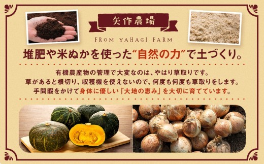 【先行受付】R8年産 有機栽培玉ねぎ・かぼちゃセット 合計20kg | 北海道津別町