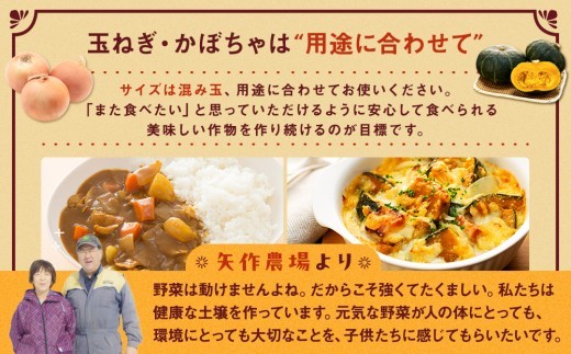 【先行受付】R8年産 有機栽培玉ねぎ・かぼちゃセット 合計20kg | 北海道津別町