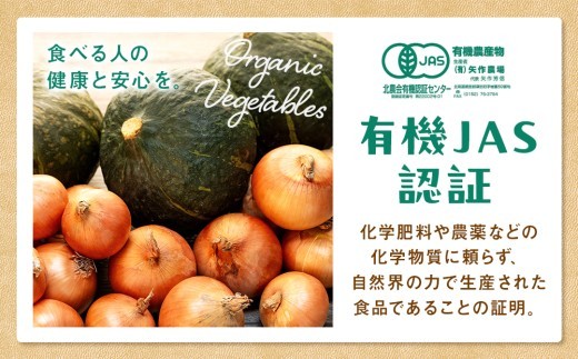 【先行受付】R8年産 有機栽培玉ねぎ・かぼちゃセット 合計20kg | 北海道津別町