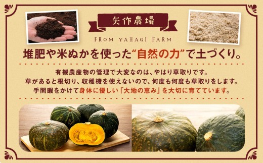 【先行受付】R8年産 有機栽培かぼちゃ 10kg | 北海道津別町