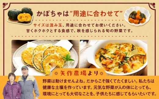 【先行受付】R8年産 有機栽培かぼちゃ 10kg | 北海道津別町