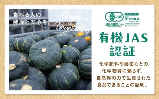 【先行受付】R8年産 有機栽培かぼちゃ 10kg | 北海道津別町