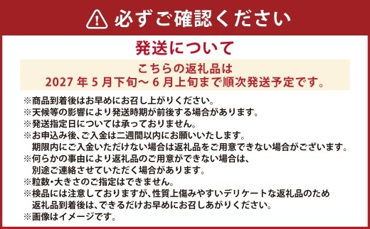 【2026年5月順次発送】道内発送限定　北海道産　豊浦いちご　けんたろう　小粒　250ｇ×４パック入り