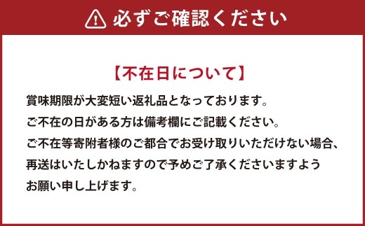 【2026年5月順次発送】道内発送限定　北海道産　豊浦いちご　けんたろう　小粒　250ｇ×４パック入り