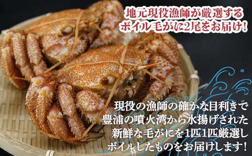 【令和8年度発送先行予約】【地元現役漁師が厳選！！】ボイル・毛ガニ2尾（1尾400g前後）北海道 豊浦 噴火湾