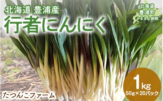豊浦産 行者にんにく 50g×20パック