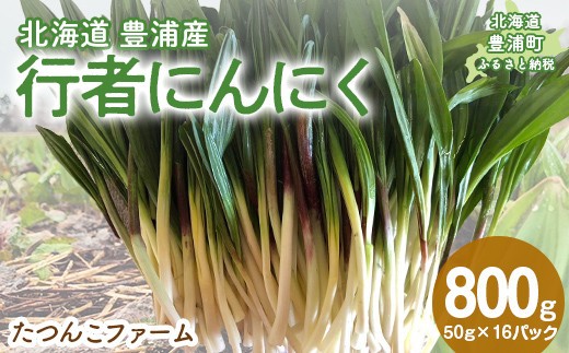 豊浦産 行者にんにく 50g×16パック
