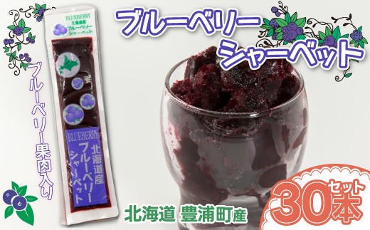 ブルーベリーシャーベット 30本