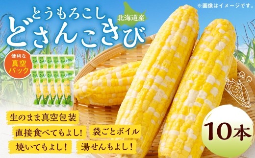 とうもろこし 10本