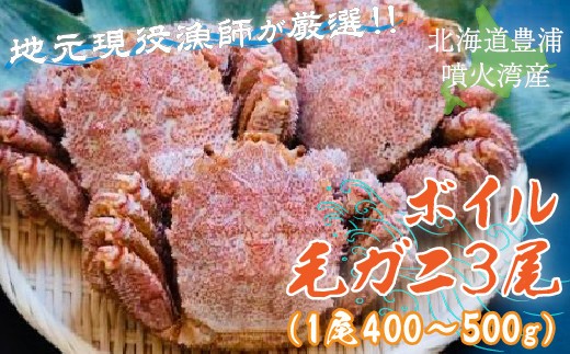 【令和7年度発送先行予約】【地元現役漁師が厳選！！】ボイル・毛ガニ3尾（1尾400～500g）北海道 豊浦 噴火湾