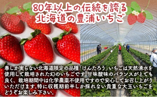【2026年4月下旬以降順次発送】豊浦いちご 大玉12粒×2トレー