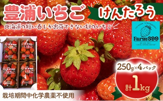 【2026年4月下旬以降順次発送】豊浦いちご　250ｇ×4パック