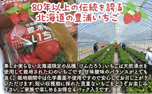 【2026年4月下旬以降順次発送】豊浦いちご　250ｇ×4パック