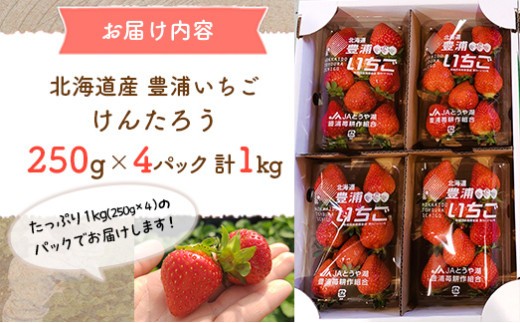 【2026年4月下旬以降順次発送】豊浦いちご　250ｇ×4パック