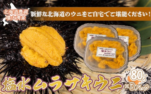 うに 塩水 ムラサキウニ 80g×3パック