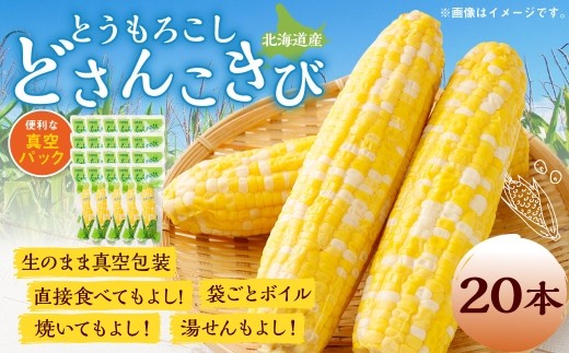 とうもろこし 20本