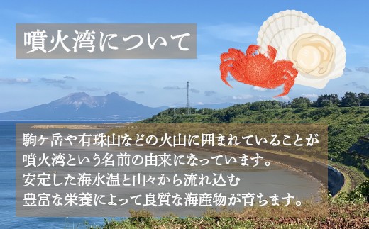 【令和8年度発送先行予約】【地元現役漁師が厳選】活毛ガニ 2尾 (1尾450g前後)毛ガニ 冷蔵