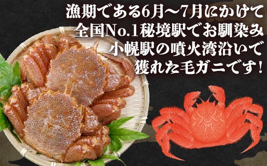 【令和8年度発送先行予約】【地元現役漁師が厳選】活毛ガニ2尾(1尾350g前後)毛ガニ 冷蔵