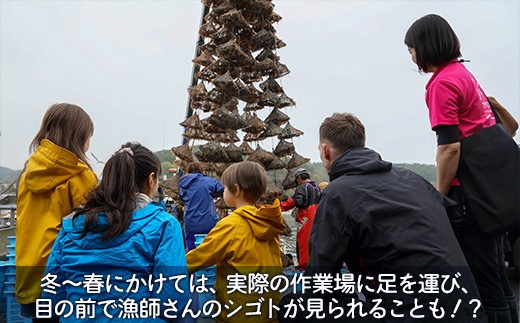 あなたの知らないホタテの世界（5人用）
