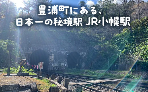 小幌駅周辺散策ツアー（2人用）