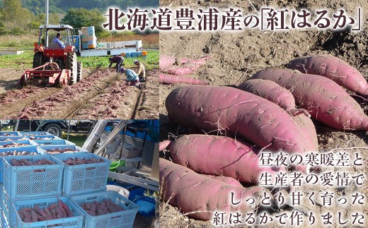 干し芋100ｇ×２セット（北海道豊浦町産　紅はるか使用）