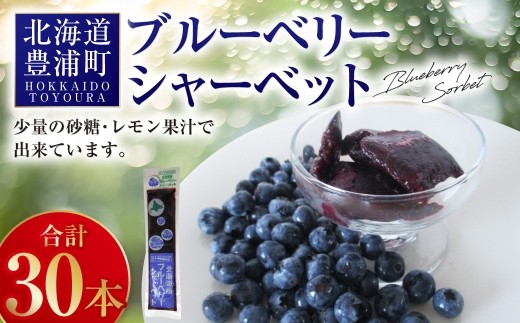 ブルーベリーシャーベット 30本