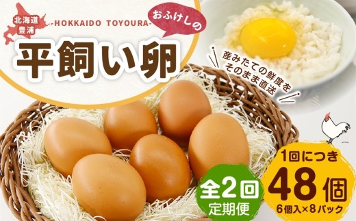 [ 定期1ヶ月毎2回 ] 北海道 豊浦 おふけしの平飼い卵 （ 6個入 × 8パック ） 48個 卵 たまご タマゴ 玉子 エッグ 黄身 鶏卵 ゆで卵 目玉焼き 卵焼き 卵かけご飯 たまごかけごはん