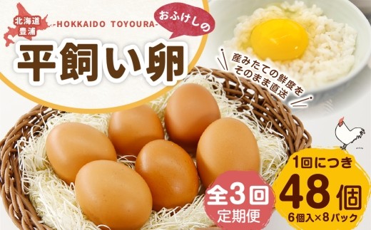 [ 定期1ヶ月毎3回 ] 北海道 豊浦 おふけしの平飼い卵 （ 6個入 × 8パック ） 48個 卵 たまご タマゴ 玉子 エッグ 黄身 鶏卵 ゆで卵 目玉焼き 卵焼き 卵かけご飯 たまごかけごはん