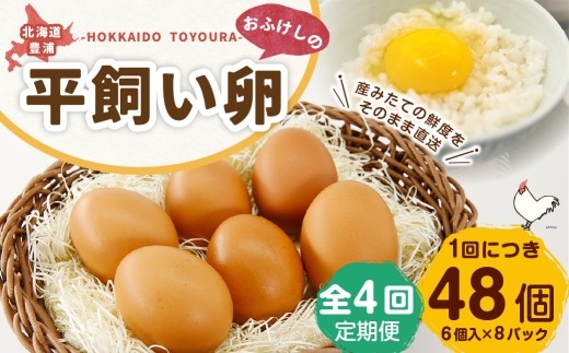 [ 定期1ヶ月毎4回 ] 北海道 豊浦 おふけしの平飼い卵 （ 6個入 × 8パック ） 48個 卵 たまご タマゴ 玉子 エッグ 黄身 鶏卵 ゆで卵 目玉焼き 卵焼き 卵かけご飯 たまごかけごはん