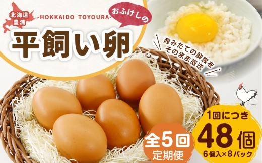 [ 定期1ヶ月毎5回 ] 北海道 豊浦 おふけしの平飼い卵 （ 6個入 × 8パック ） 48個 卵 たまご タマゴ 玉子 エッグ 黄身 鶏卵 ゆで卵 目玉焼き 卵焼き 卵かけご飯 たまごかけごはん