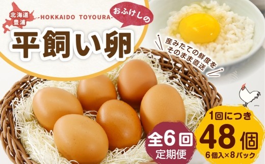 [ 定期1ヶ月毎6回 ] 北海道 豊浦 おふけしの平飼い卵 （ 6個入 × 8パック ） 48個 卵 たまご タマゴ 玉子 エッグ 黄身 鶏卵 ゆで卵 目玉焼き 卵焼き 卵かけご飯 たまごかけごはん