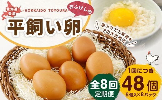 [ 定期1ヶ月毎8回 ] 北海道 豊浦 おふけしの平飼い卵 （ 6個入 × 8パック ） 48個 卵 たまご タマゴ 玉子 エッグ 黄身 鶏卵 ゆで卵 目玉焼き 卵焼き 卵かけご飯 たまごかけごはん