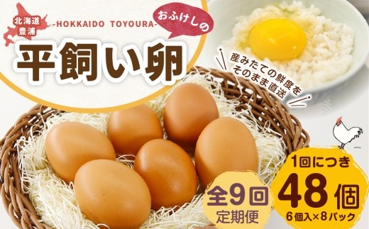 [ 定期1ヶ月毎9回 ] 北海道 豊浦 おふけしの平飼い卵 （ 6個入 × 8パック ） 48個 卵 たまご タマゴ 玉子 エッグ 黄身 鶏卵 ゆで卵 目玉焼き 卵焼き 卵かけご飯 たまごかけごはん